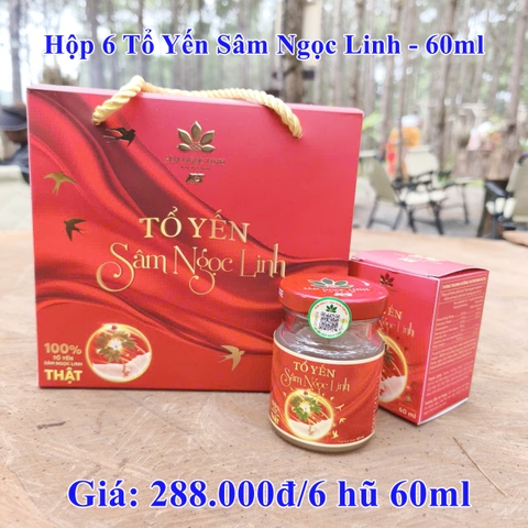 SÂM NGỌC LINH K5