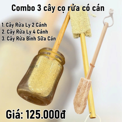 Combo 3 cây cọ rửa có cán