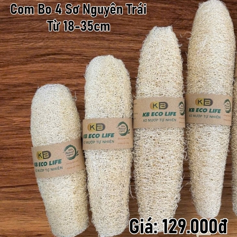 Com Bo 4 Sơ Nguyên Trái Từ 18-35cm