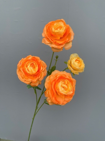 HOA MAO LƯƠNG