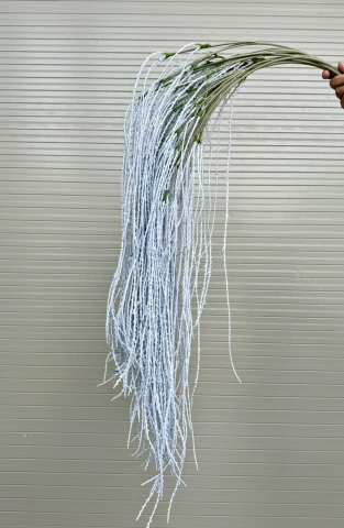 RỦ CAU