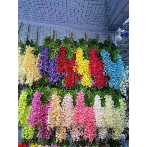 HOA TỬ ĐẰNG