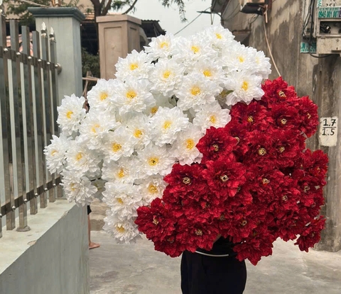 HOA CÚC MẪU ĐƠN 3B