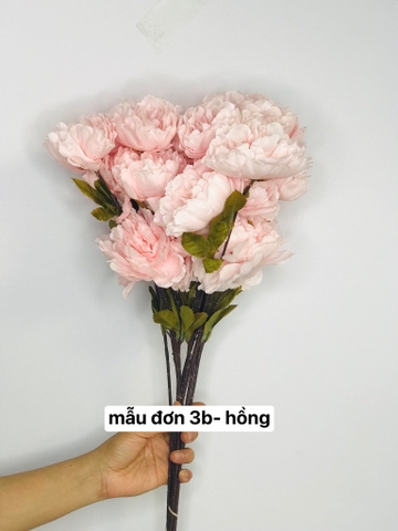 TONE HỒNG NHẠT