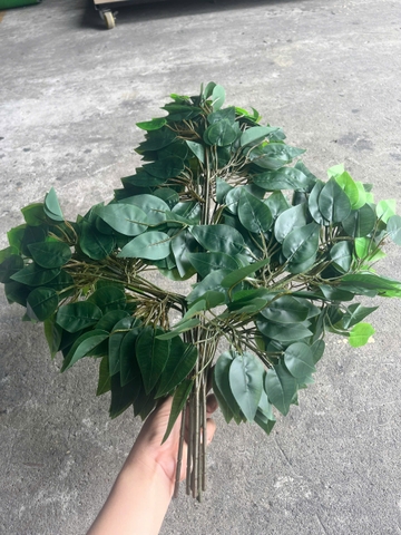 CỤM LÁ SI