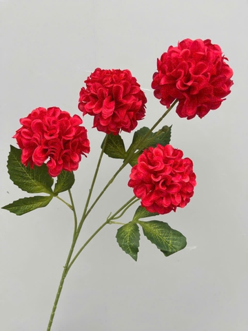 TỔ ONG 4B