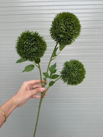 HOA THỦY TRÚC 3 NHÁNH