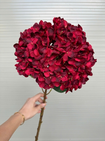 TÚ CẦU VIP ĐẠI