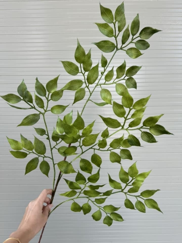 LÁ XÀ CỪ NHỰA