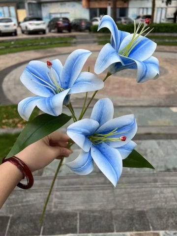 LY NHỰA 3B TQ