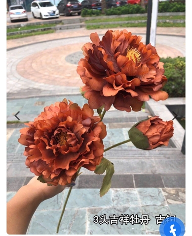 HOA HẢI ĐƯỜNG 2B 1N