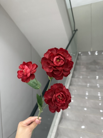 HẢI ĐƯỜNG 3B