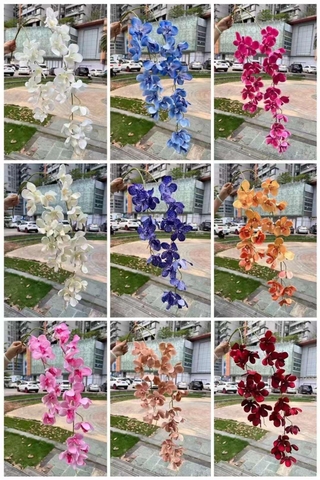 RỦ NGỌC LAN VANDA 2 NHÁNH
