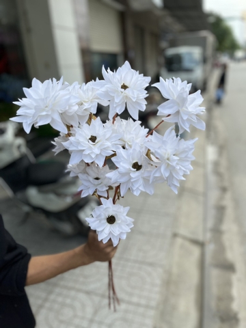 HOA DIÊN VỸ