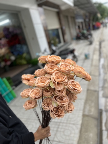 HOA HỒNG SAHA