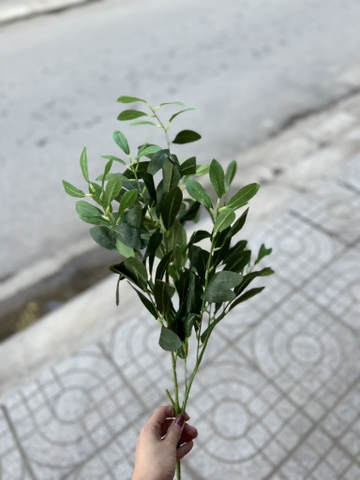 LÁ ĐÀO MỐC