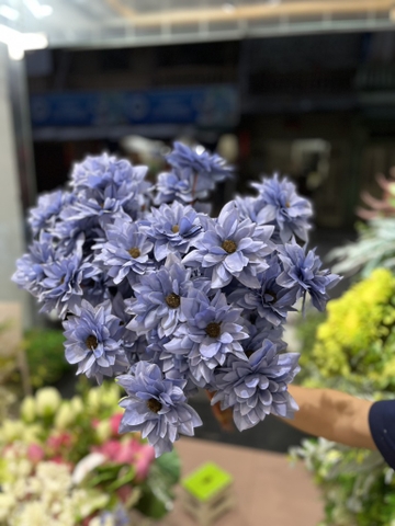 HOA DIÊN VỸ