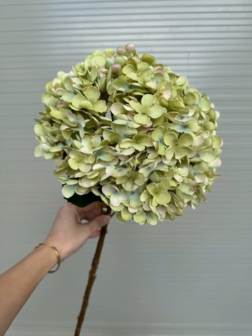 TÚ CẦU VIP ĐẠI