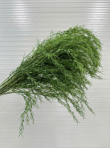 RỦ TIÊU