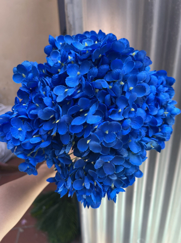 TÚ CẦU CỤM