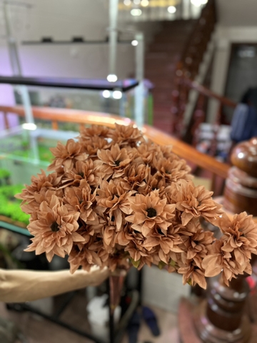 HOA DIÊN VỸ
