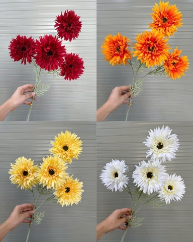 HOA ĐỒNG TIỀN 4B