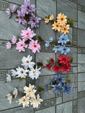 HOA DIÊN VỸ