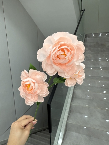 HẢI ĐƯỜNG 3B