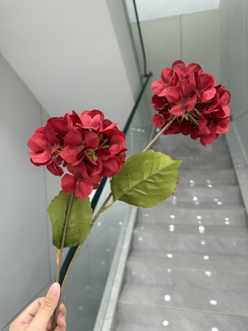 TÚ CẦU 2B VẢI
