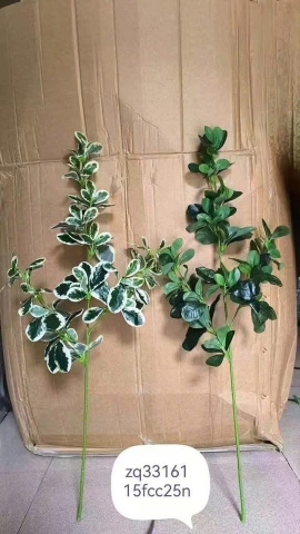 LÁ HOA SỮA