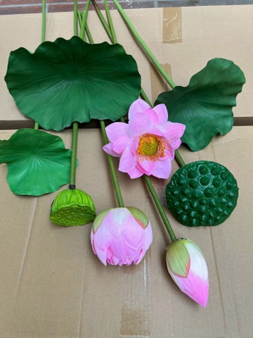 NẦM - NỤ HOA SEN