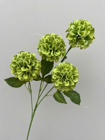 TỔ ONG 4B