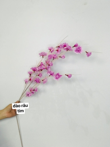 HOA ĐÀO RÂU