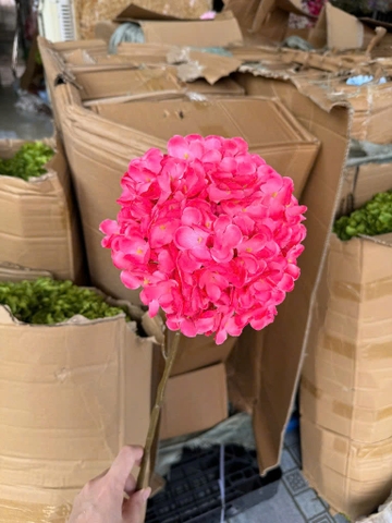TÚ CẦU THÂN NÂU 1B