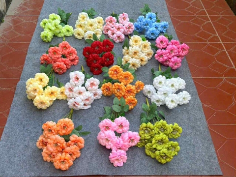 HOA TRÀ NGỌC RẺ 9B