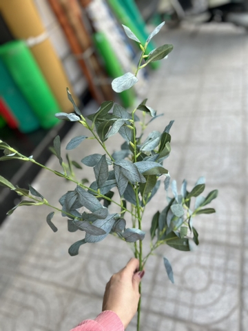 LÁ ĐÀO MỐC