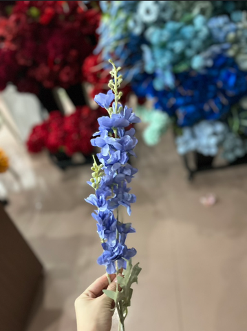 TONE XANH DƯƠNG BLUE