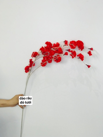 HOA ĐÀO RÂU