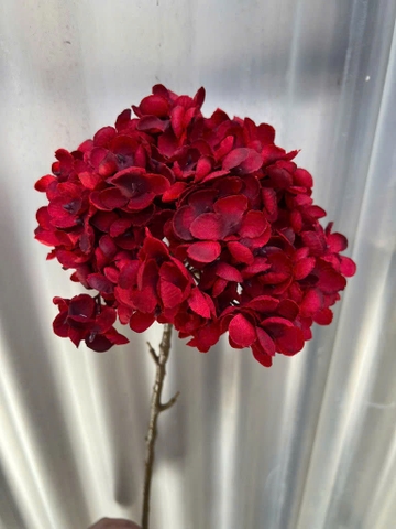 TÚ CẦU THÂN NÂU 1B