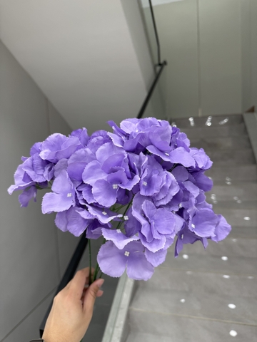 HOA TÚ CẦU 5B