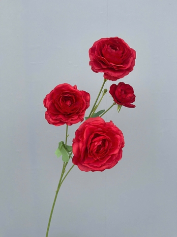 HOA MAO LƯƠNG