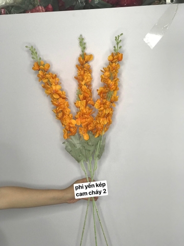 HOA PHI YẾN KÉP