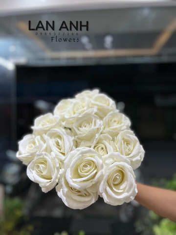 TONE TRẮNG