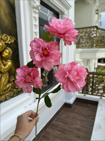 TONE HỒNG SEN