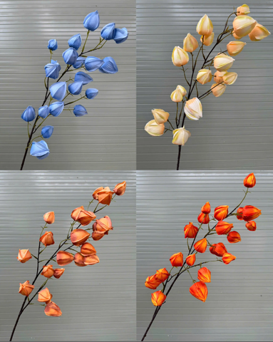 HOA BỒM BỘP - LỒNG ĐÈN