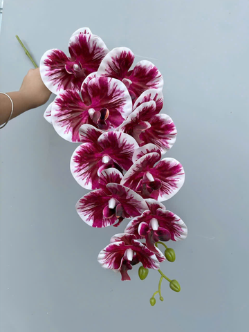 TONE HỒNG SEN