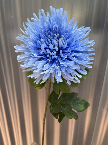 TONE XANH DƯƠNG BLUE