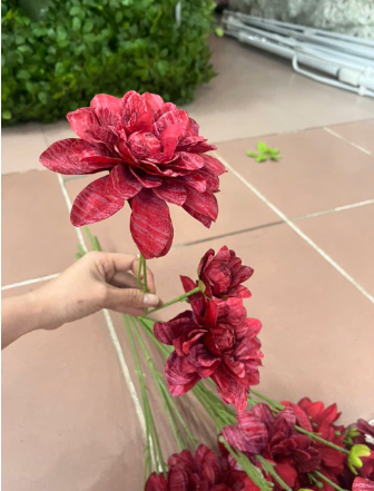HOA THƯỢC DƯỢC TUYẾT