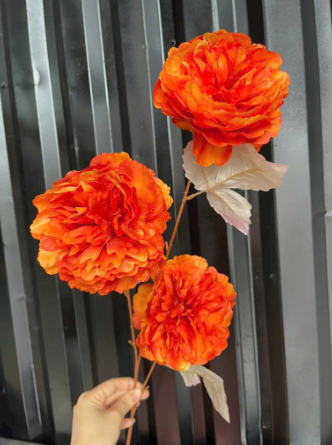 HOA MẪU ĐƠN 3B
