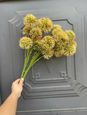 HOA BỒ CÔNG ANH NHỰA